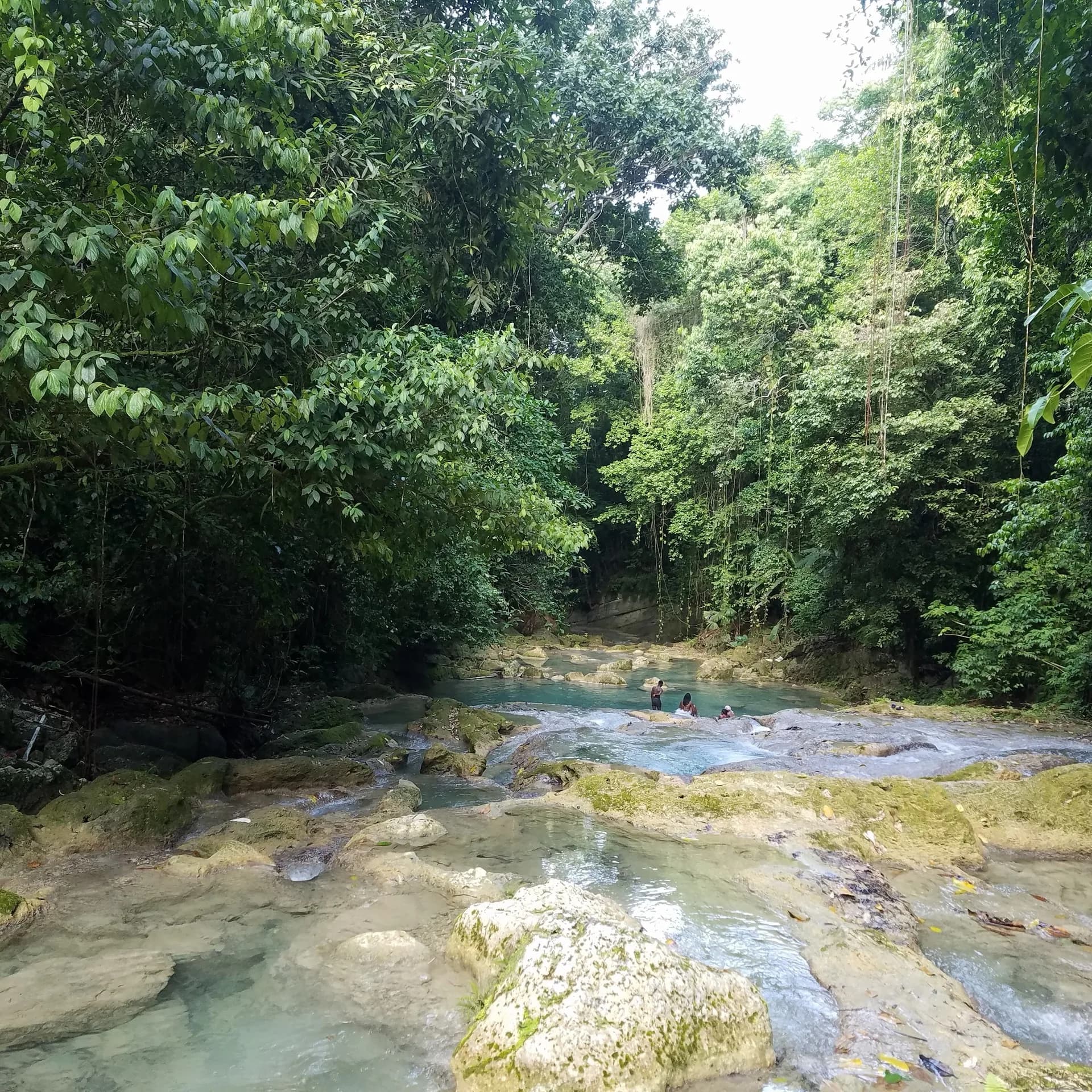 A river running over stones under the trees in Jamaica