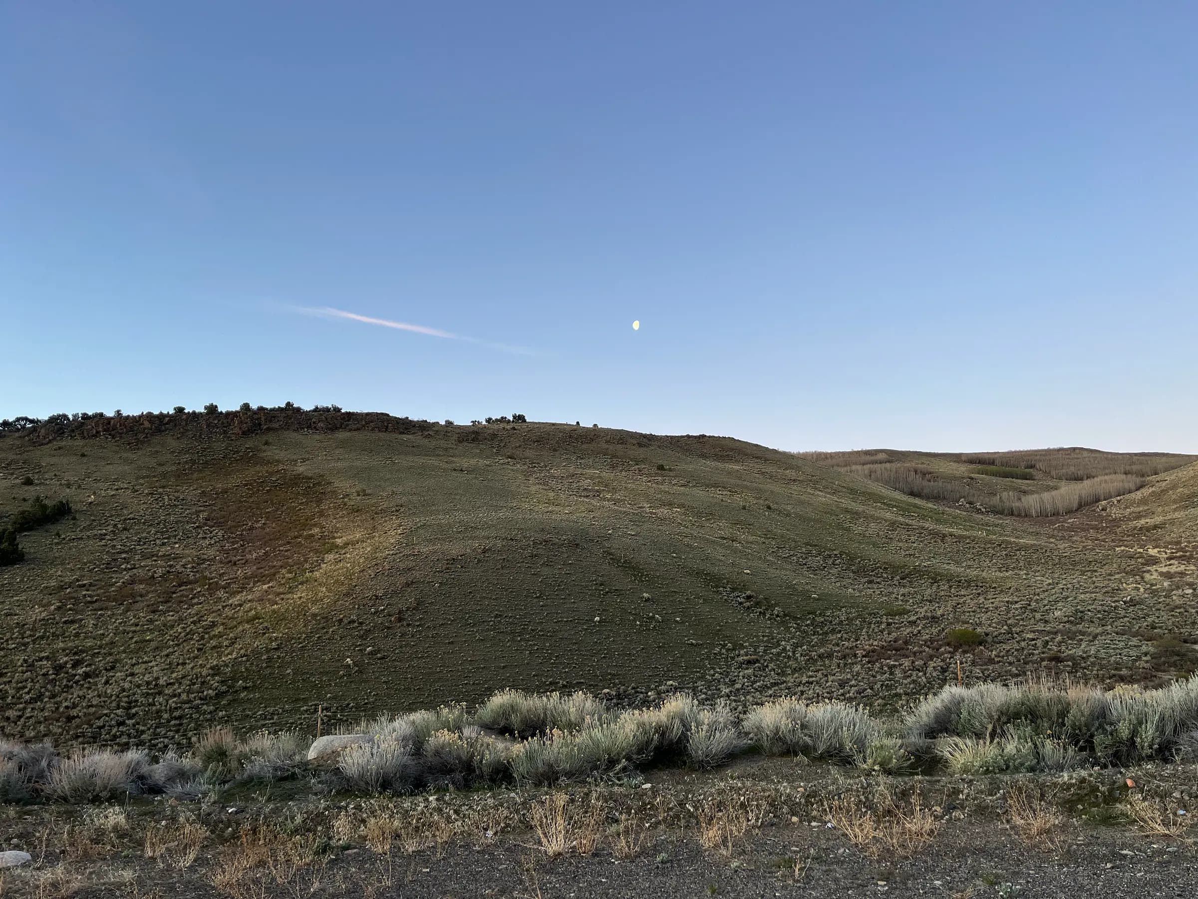 Sagebrush hills in cool early light, the moon high in a pale sky.