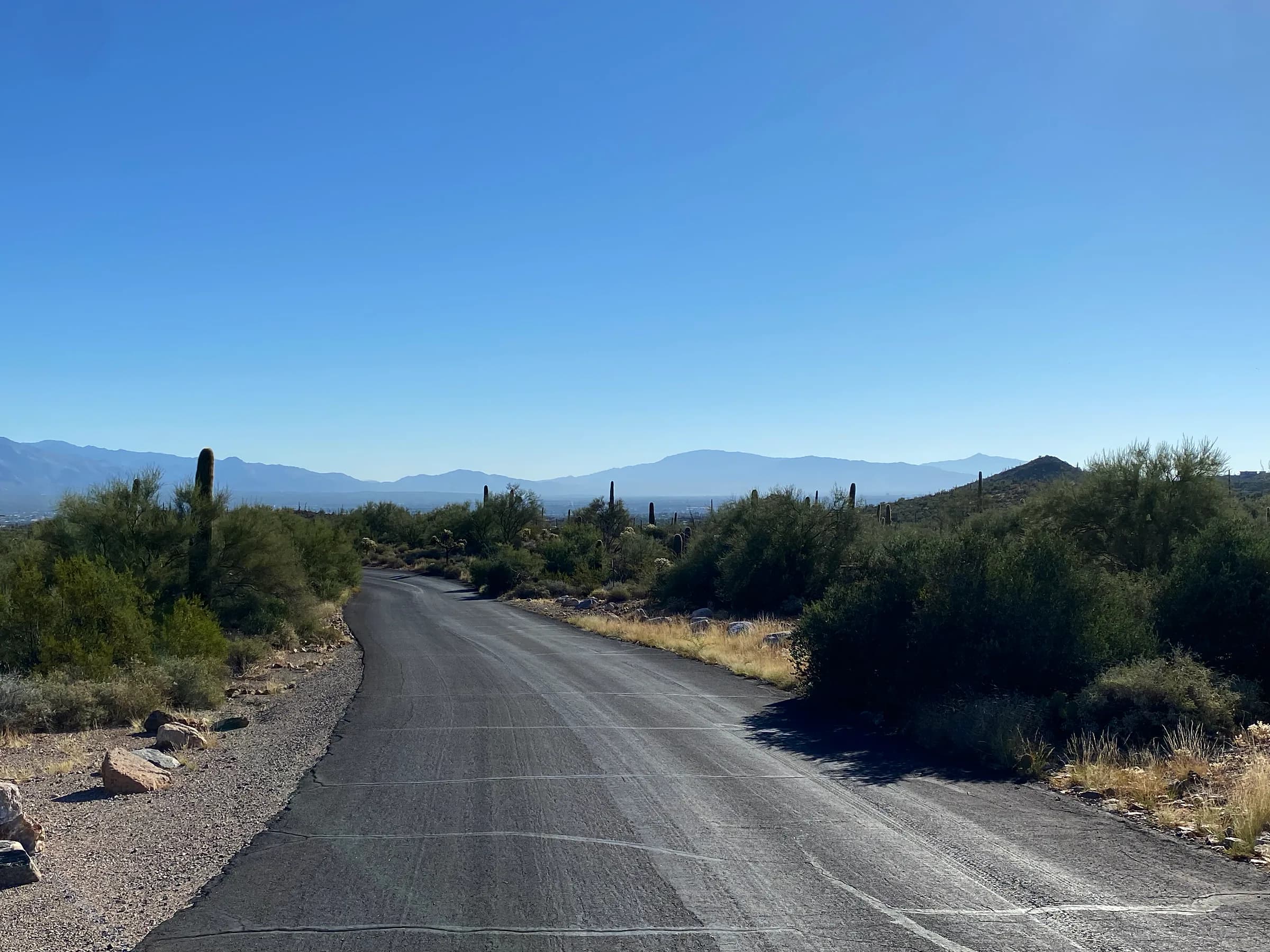 A narrow road bending away through desert scrub and saguaro cactus toward blue mountains.