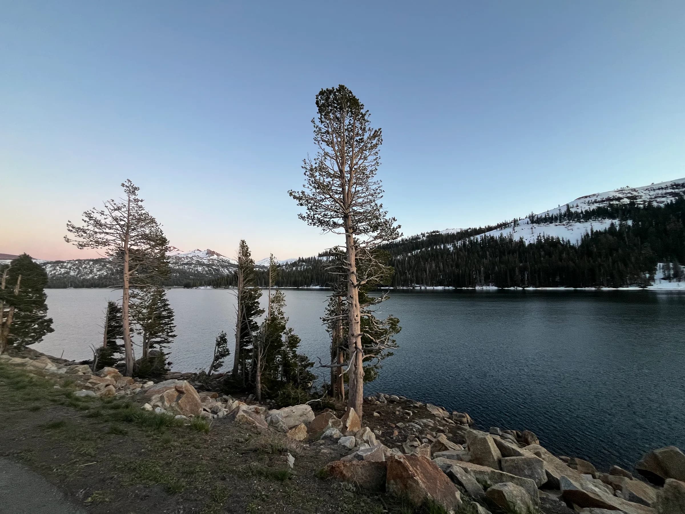 A mountain lake at dusk from a rocky shore, bare pines in front of a snowy ridge.