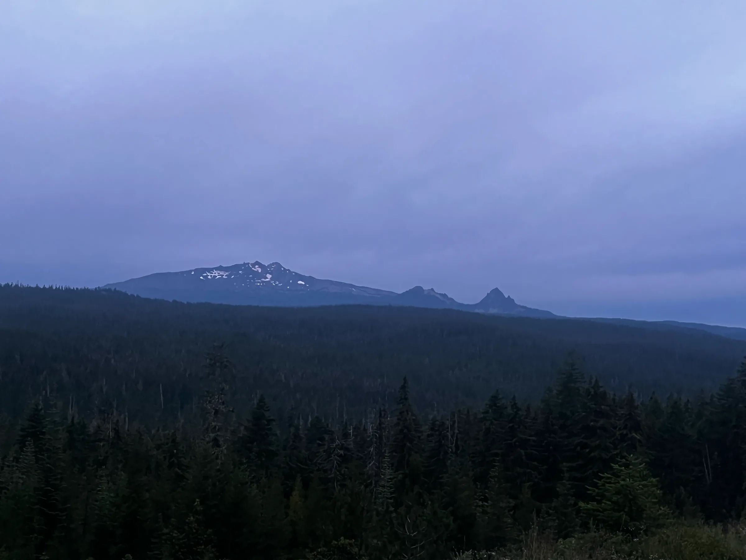 A snow peak over a black forest under a low violet sky, before first light.