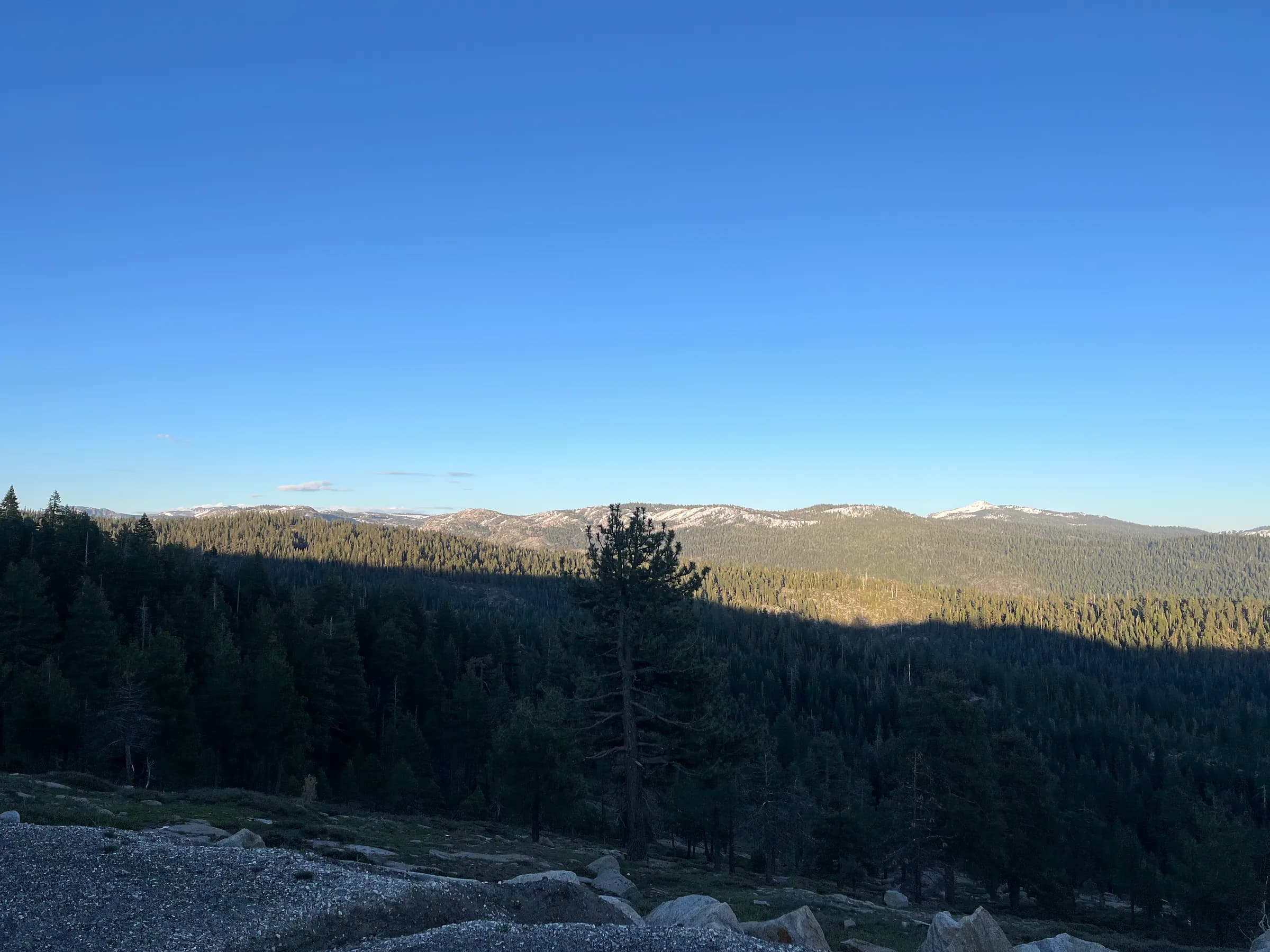 A forested valley seen from above, half in shadow, a lone pine and snow on the far crest under a clear sky.